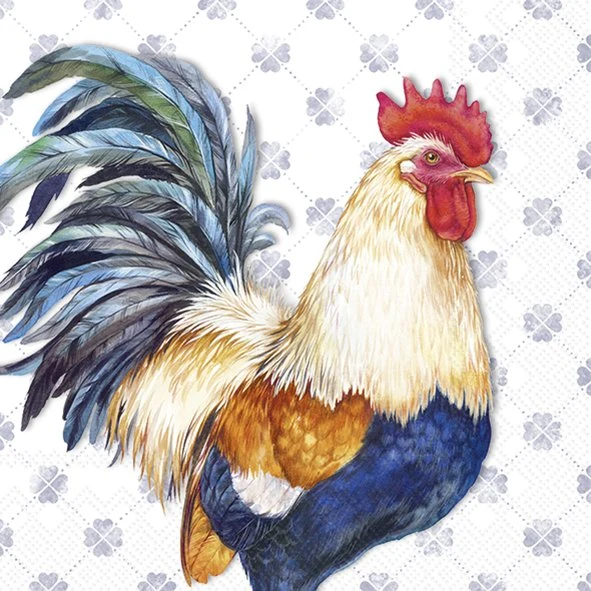 Set 2 Panni Spugna 'Albert Rooster' - Ihr